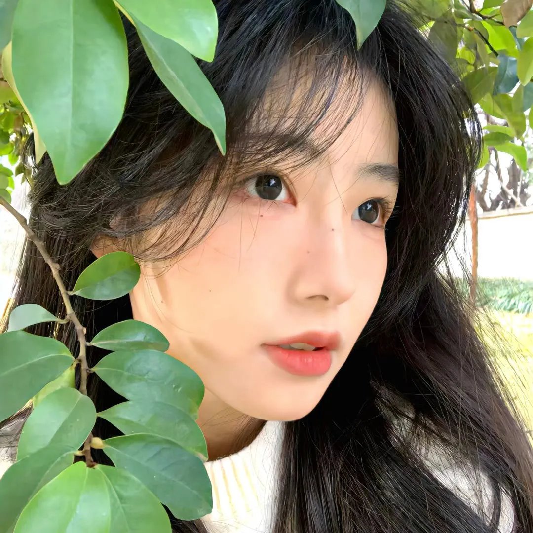 亲吻亭3 封面