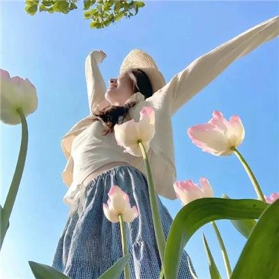 钢铁少女团 封面